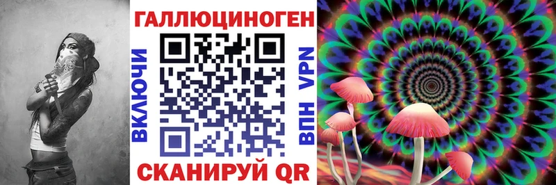 цены наркотик Щёкино Галлюциногенные грибы Psilocybine cubensis